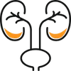 Urology
